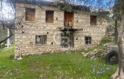 CB GİZ'DEN KAŞ ÜZÜMLÜ'DE SATILIK TARLA