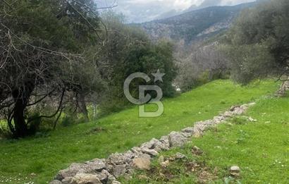 CB GİZ'DEN KAŞ ÜZÜMLÜ'DE SATILIK TARLA