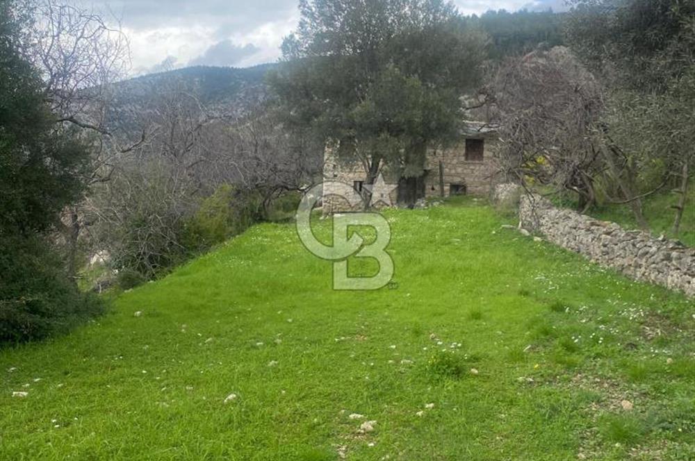 CB GİZ'DEN KAŞ ÜZÜMLÜ'DE SATILIK TARLA