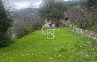 CB GİZ'DEN KAŞ ÜZÜMLÜ'DE SATILIK TARLA