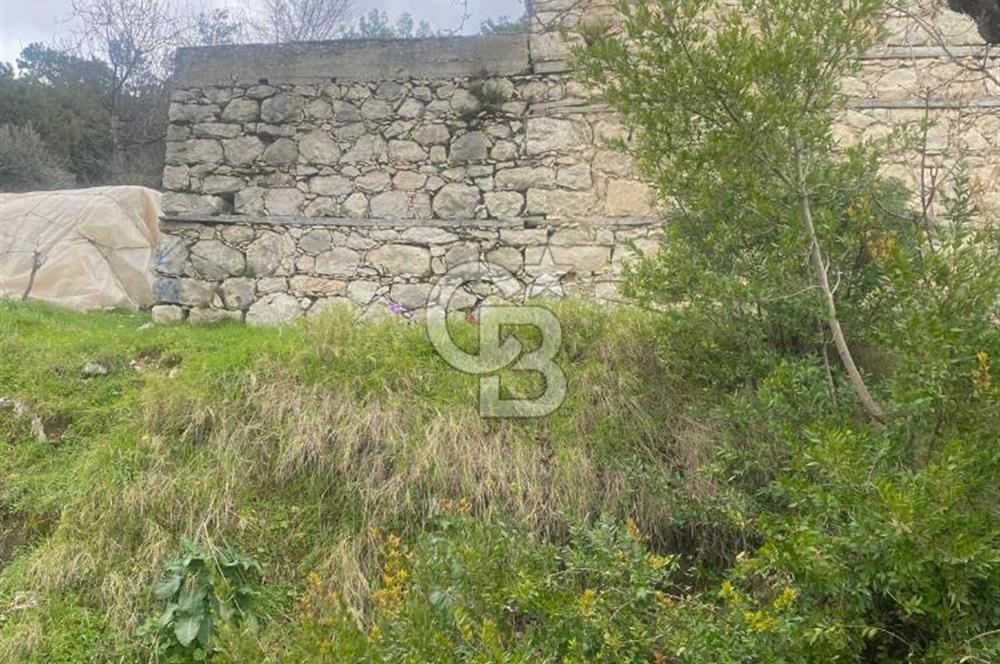 CB GİZ'DEN KAŞ ÜZÜMLÜ'DE SATILIK TARLA