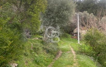 CB GİZ'DEN KAŞ ÜZÜMLÜ'DE SATILIK TARLA