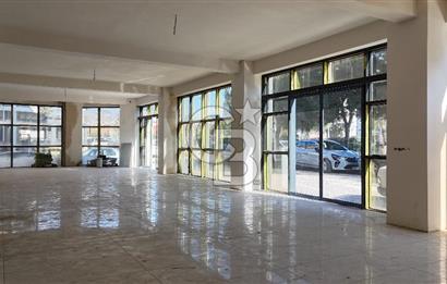 Aydın Efeler Ana Aksında A+ Prestij Plaza (Komple Bina)