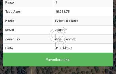 Bergama Kaşıkçı Köyünde 16.351,75 M2 Satılık Tarla
