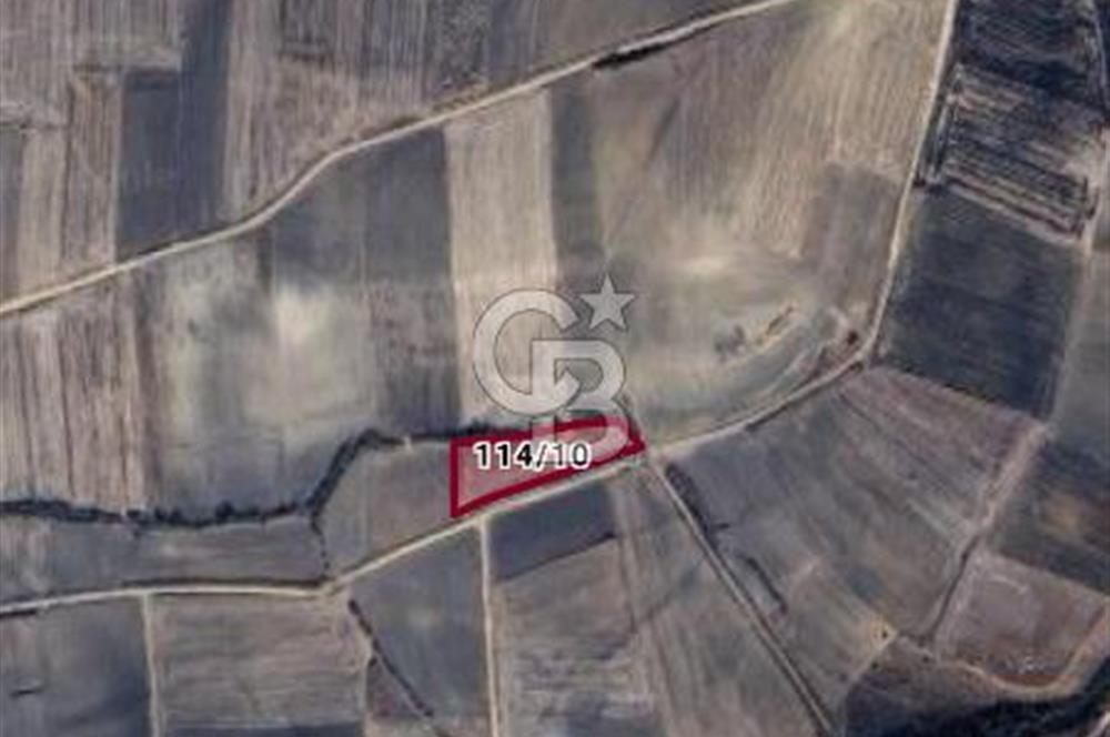 Satılık Tarla, Kırklarelinde