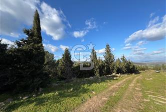 Bergama Kaşıkçı Köyünde 16.351,75 M2 Satılık Tarla - 5 - 314954