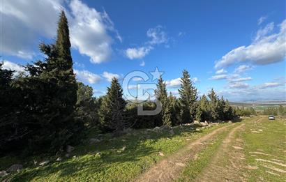 Bergama Kaşıkçı Köyünde 16.351,75 M2 Satılık Tarla