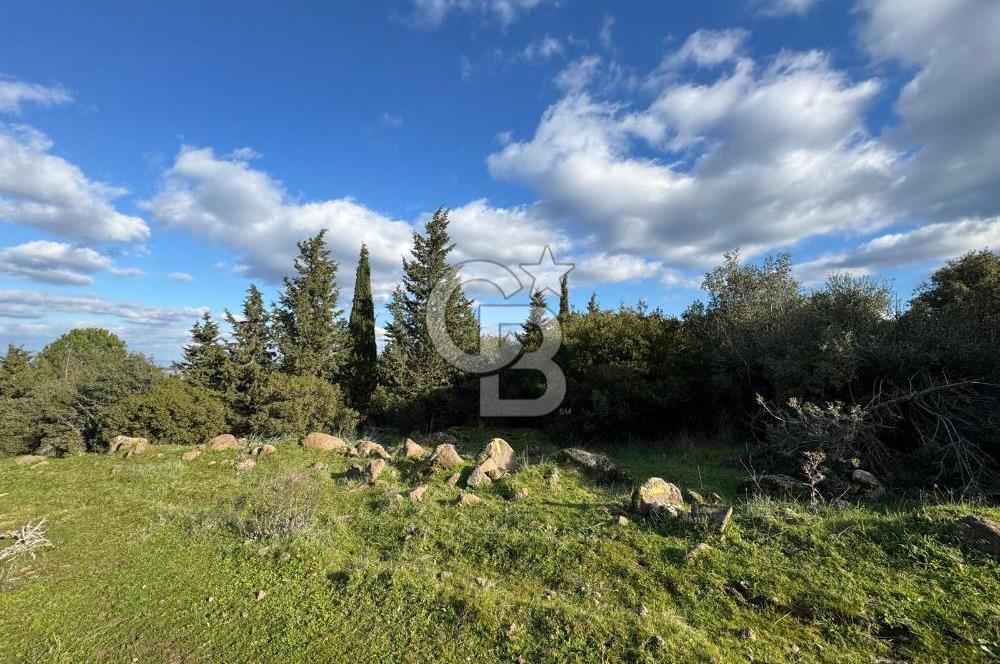 Bergama Kaşıkçı Köyünde 16.351,75 M2 Satılık Tarla