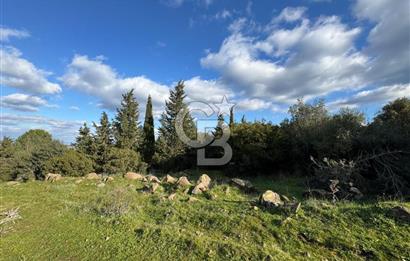 Bergama Kaşıkçı Köyünde 16.351,75 M2 Satılık Tarla