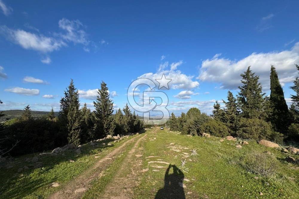 Bergama Kaşıkçı Köyünde 16.351,75 M2 Satılık Tarla