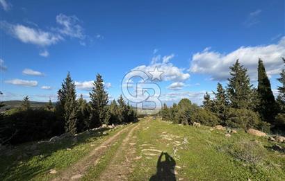 Bergama Kaşıkçı Köyünde 16.351,75 M2 Satılık Tarla