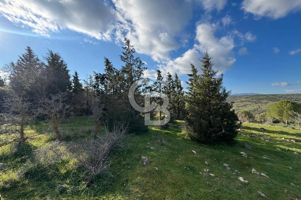 Bergama Kaşıkçı Köyünde 16.351,75 M2 Satılık Tarla