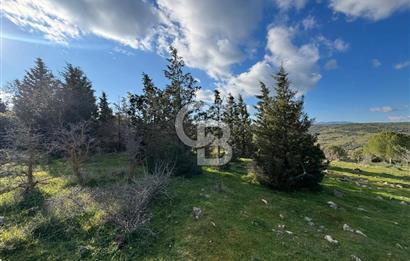 Bergama Kaşıkçı Köyünde 16.351,75 M2 Satılık Tarla