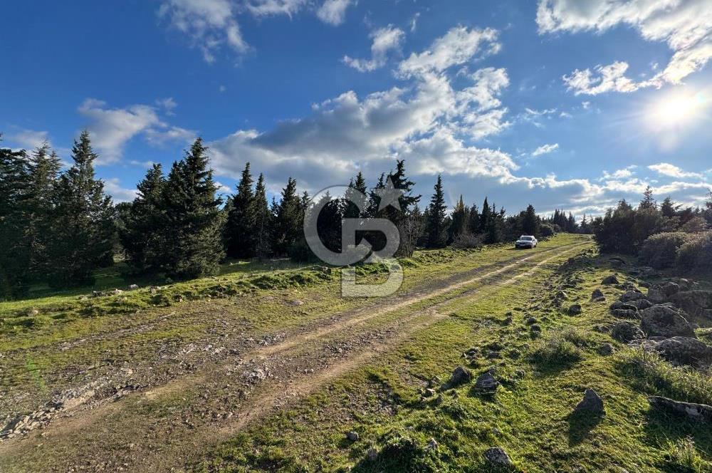 Bergama Kaşıkçı Köyünde 16.351,75 M2 Satılık Tarla