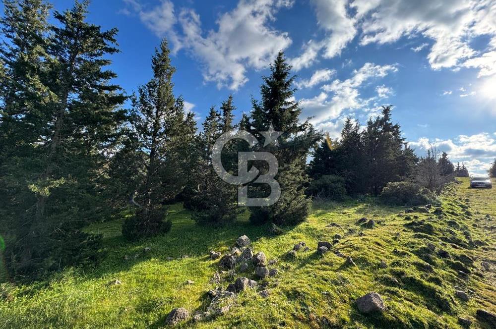 Bergama Kaşıkçı Köyünde 16.351,75 M2 Satılık Tarla