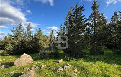 Bergama Kaşıkçı Köyünde 16.351,75 M2 Satılık Tarla