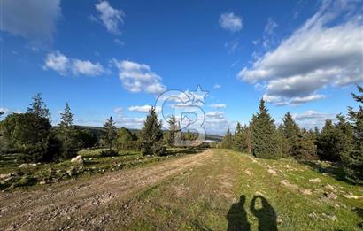 Bergama Kaşıkçı Köyünde 16.351,75 M2 Satılık Tarla