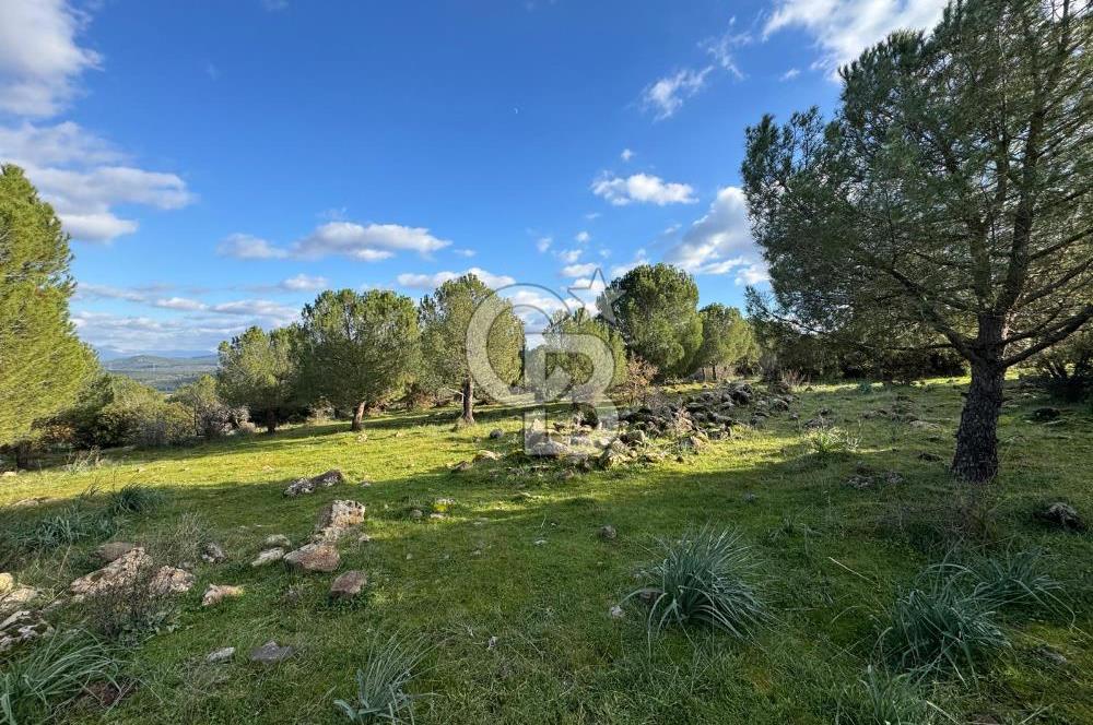 Bergama Kaşıkçı Köyünde 16.351,75 M2 Satılık Tarla