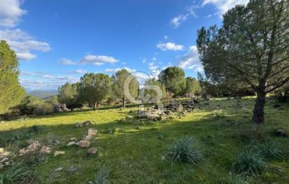 Bergama Kaşıkçı Köyünde 16.351,75 M2 Satılık Tarla