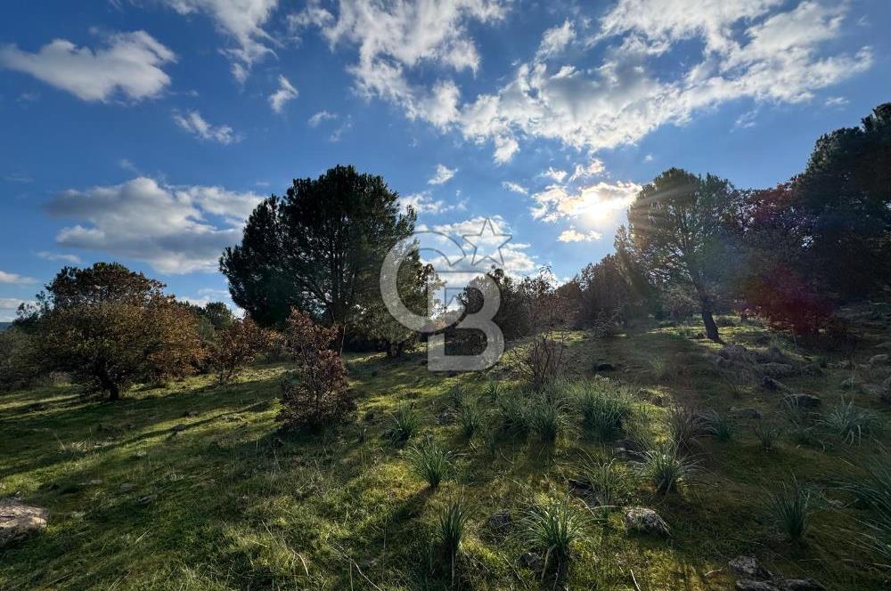 Bergama Kaşıkçı Köyünde 16.351,75 M2 Satılık Tarla