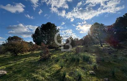 Bergama Kaşıkçı Köyünde 16.351,75 M2 Satılık Tarla