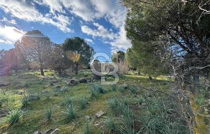 Bergama Kaşıkçı Köyünde 16.351,75 M2 Satılık Tarla