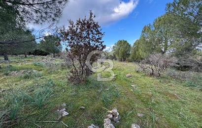 Bergama Kaşıkçı Köyünde 16.351,75 M2 Satılık Tarla