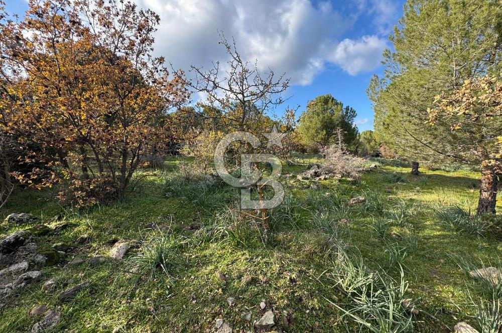 Bergama Kaşıkçı Köyünde 16.351,75 M2 Satılık Tarla