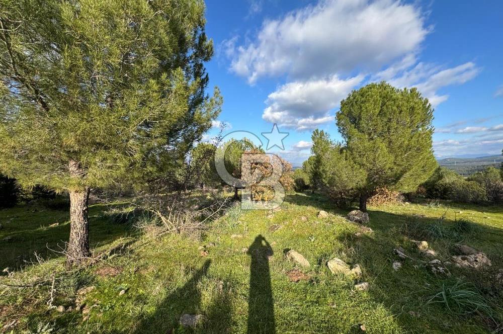 Bergama Kaşıkçı Köyünde 16.351,75 M2 Satılık Tarla