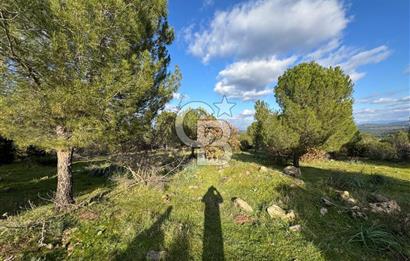 Bergama Kaşıkçı Köyünde 16.351,75 M2 Satılık Tarla