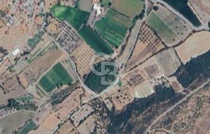 Bergama Kaşıkçı Köyünde 16.351,75 M2 Satılık Tarla