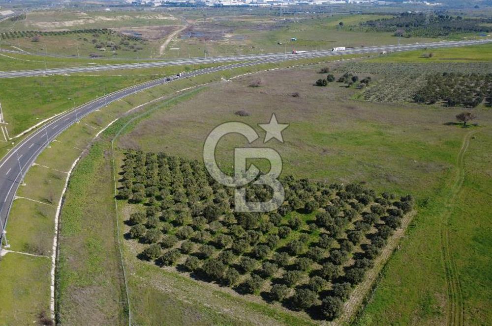CB Odak'tan Aliağa Güzelhisarda 10.038 m² Satılık Tarla