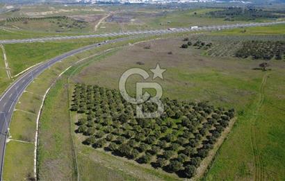 CB Odak'tan Aliağa Güzelhisarda 10.038 m² Satılık Tarla