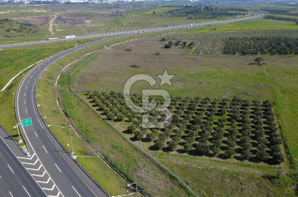 CB Odak'tan Aliağa Güzelhisarda 10.038 m² Satılık Tarla