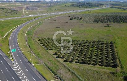 CB Odak'tan Aliağa Güzelhisarda 10.038 m² Satılık Tarla