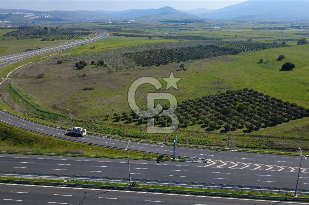 CB Odak'tan Aliağa Güzelhisarda 10.038 m² Satılık Tarla
