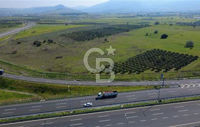 CB Odak'tan Aliağa Güzelhisarda 10.038 m² Satılık Tarla