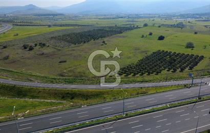 CB Odak'tan Aliağa Güzelhisarda 10.038 m² Satılık Tarla