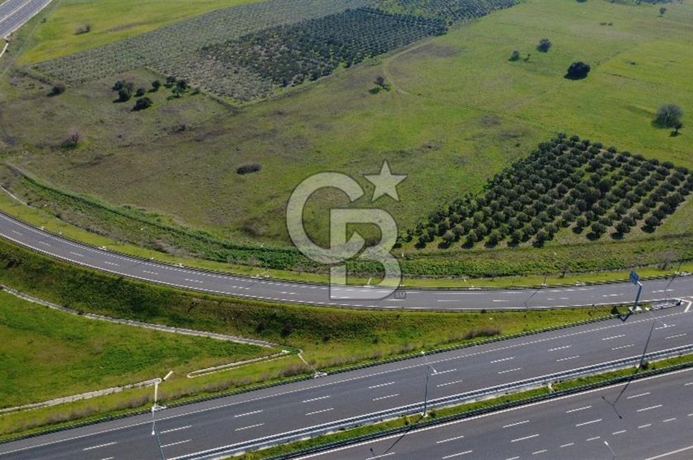 CB Odak'tan Aliağa Güzelhisarda 10.038 m² Satılık Tarla