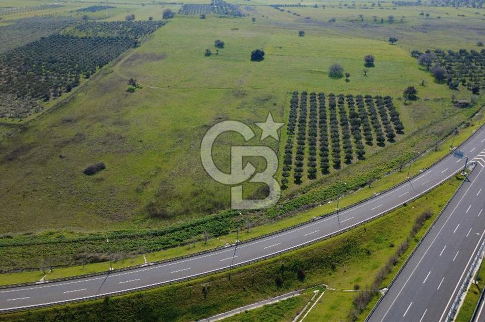 CB Odak'tan Aliağa Güzelhisarda 10.038 m² Satılık Tarla