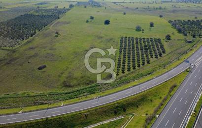 CB Odak'tan Aliağa Güzelhisarda 10.038 m² Satılık Tarla