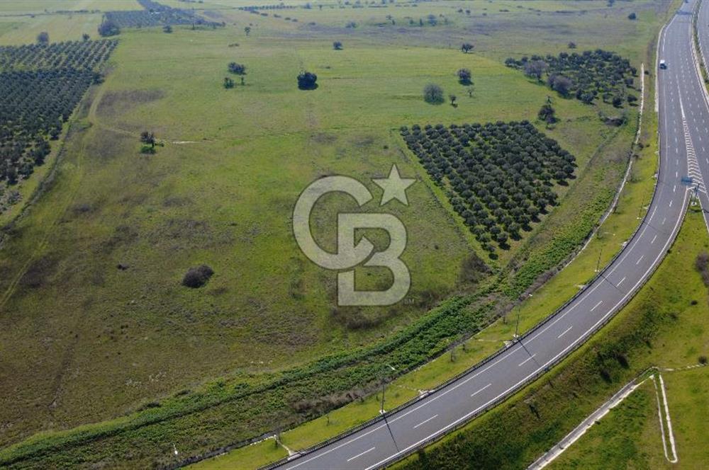 CB Odak'tan Aliağa Güzelhisarda 10.038 m² Satılık Tarla