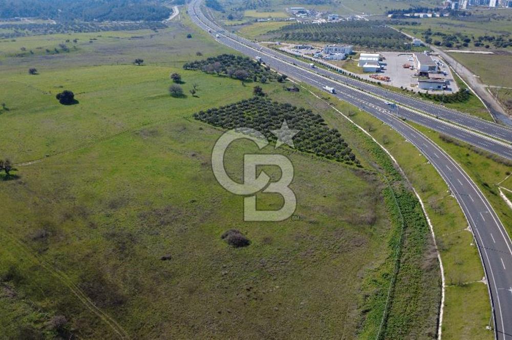 CB Odak'tan Aliağa Güzelhisarda 10.038 m² Satılık Tarla
