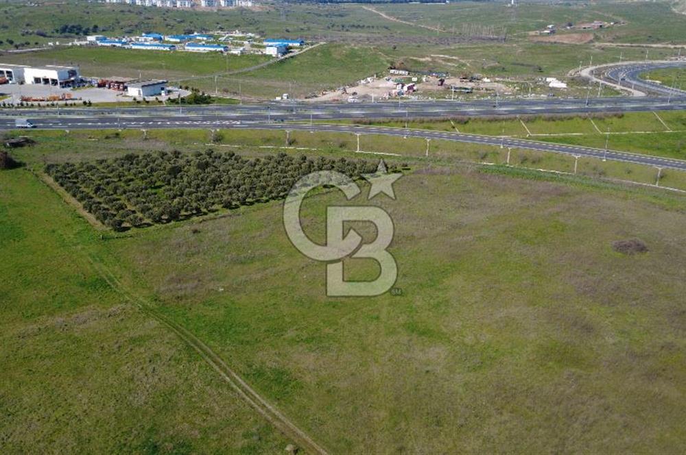 CB Odak'tan Aliağa Güzelhisarda 10.038 m² Satılık Tarla