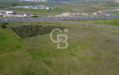 CB Odak'tan Aliağa Güzelhisarda 10.038 m² Satılık Tarla