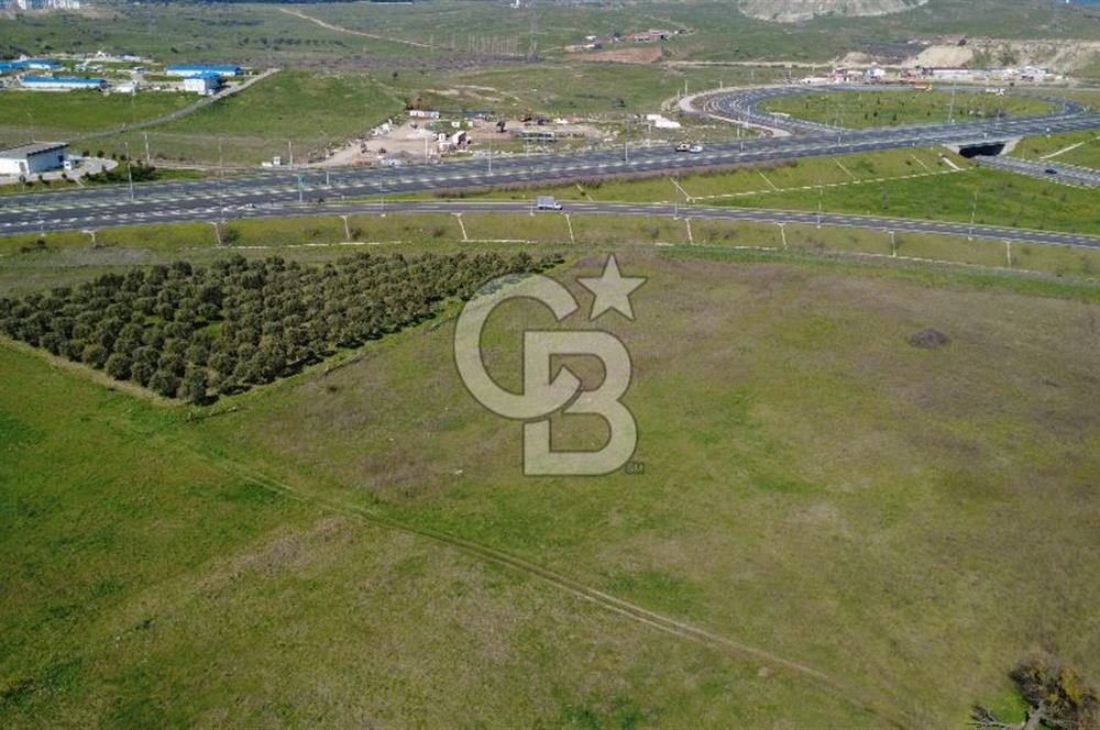 CB Odak'tan Aliağa Güzelhisarda 10.038 m² Satılık Tarla