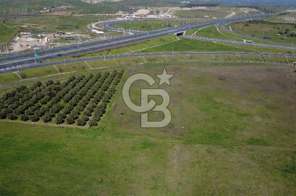 CB Odak'tan Aliağa Güzelhisarda 10.038 m² Satılık Tarla