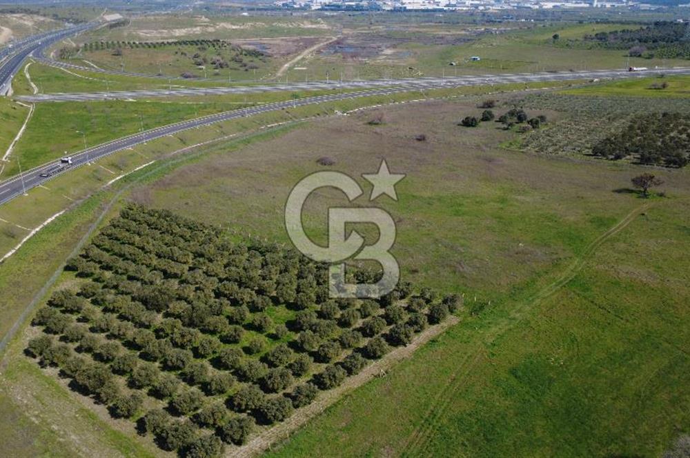 CB Odak'tan Aliağa Güzelhisarda 10.038 m² Satılık Tarla
