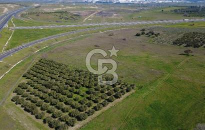 CB Odak'tan Aliağa Güzelhisarda 10.038 m² Satılık Tarla