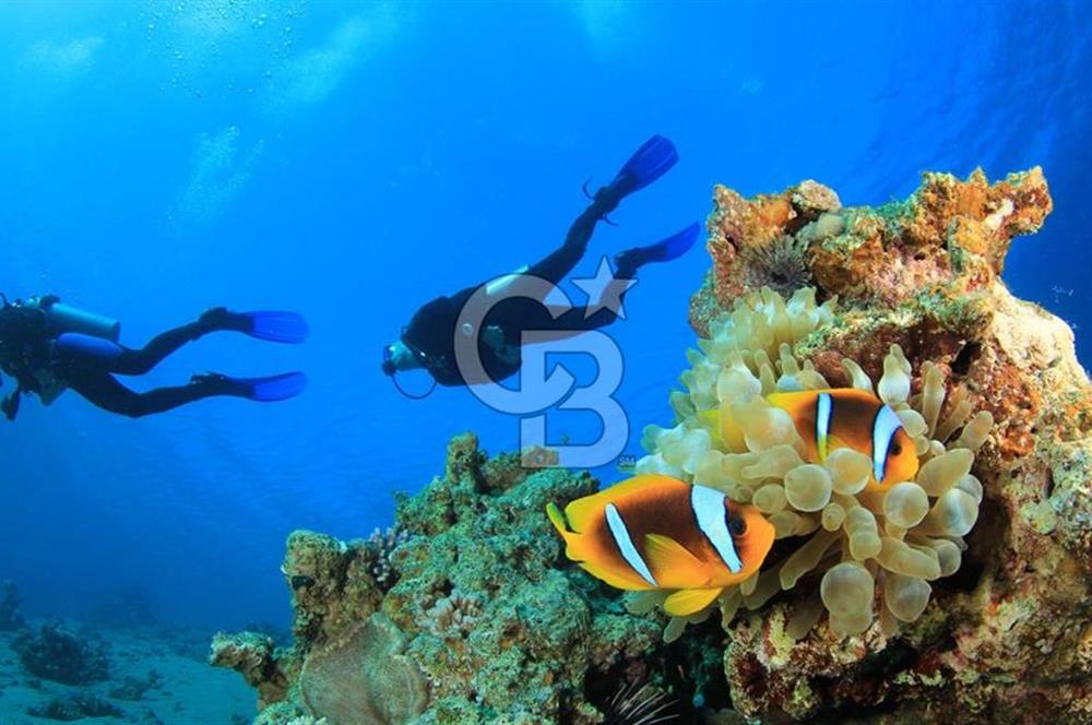 Denize 5 Dk yürüme mesafesinde Satılık Butik Otel